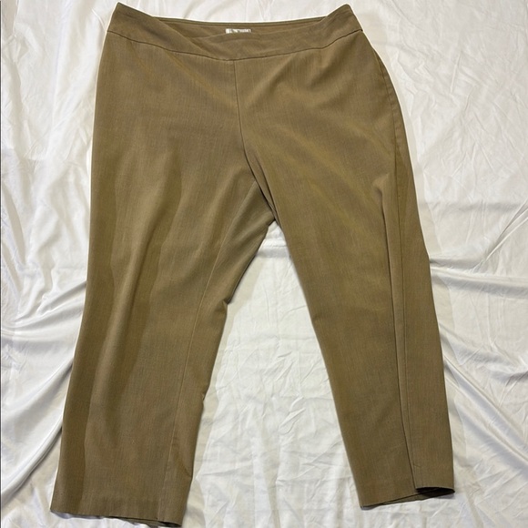 dressbarn Pants - Dressbarn Classic Tan Trousers